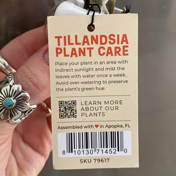 🌼 NWT Trader Joe’s air plant planter lazy bones planter - Picture 6 of 9